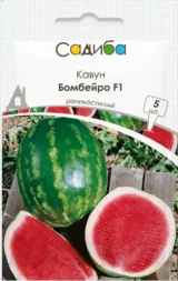 Кавун Бомбейро F1, 5 шт (Hazera, Нідерланди)