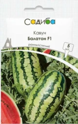 Кавун Балатон F1, 5 шт (Syngenta, Нідерланди)