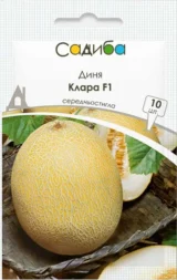 Диня Клара F1, 10 шт (GSN-Semences, Франція)