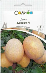Диня Дакаро F1, 5 шт (Enza Zaden, Нідерланди)