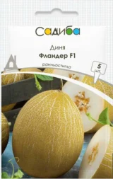 Диня Фландер F1, 5 шт (Syngenta, Нідерланди)
