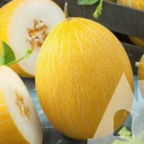 Диня Фландер F1, 5 шт (Syngenta, Нідерланди) - Зображення 2