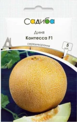 Диня Контесса F1, 5 шт (GSN-Semences, Франція)