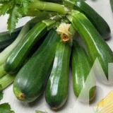 Кабачок Крістал  F1, 5 шт (GSN-Semences, Франція) - Зображення 2