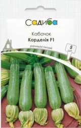 Кабачок Корделія F1, 5 шт (Syngenta, Нідерланди)