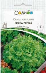 Салат Гранд Рапідс, 1 г (Suba Seeds, Італія)