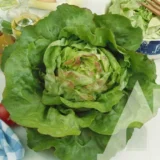 Салат Травневий король, 1 г (Suba Seeds, Італія) - Зображення 2