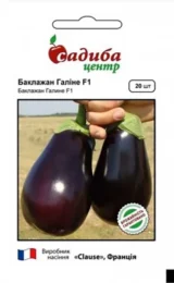 Баклажан Галіне F1, 20 шт (Clause, Франція)