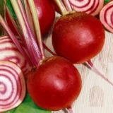 Буряк Кіоджа, 10 г (Suba Seeds, Італія) - Зображення 2