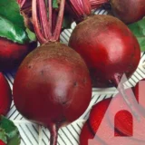 Буряк Кардіал F1, 200 шт (Sakata, Японія) - Зображення 2