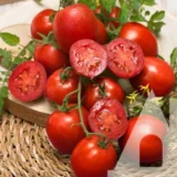 Томат Мамако F1, 15 шт (Syngenta, Нідерланди) - Зображення 2
