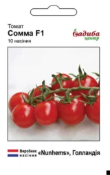 Томат Сомма F1, 10 шт ( Nunhems, Нідерланди)