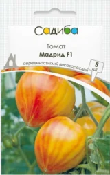 Томат Мадрид F1, 5 шт (Clause, Франція)