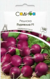 Редиска Пурпелла F1, 100 шт (Hazera, Нідерланди)