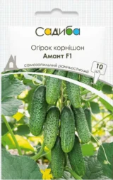 Огірок Амант F1, 10 шт (Bejo Zaden, Нідерланди)