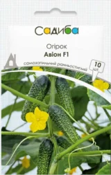 Огірок Авіон F1, 10 шт (Bejo Zaden, Нідерланди)