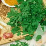 Кінза (коріандр) Американська, 3 г (Suba Seeds, Італія) - Зображення 2