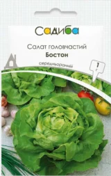 Салат головчастий Бостон, 1 г (Suba Seeds, Італія)