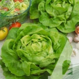 Салат головчастий Бостон, 1 г (Suba Seeds, Італія) - Зображення 2