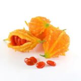 Момордика, 8 шт (Україна) - Зображення 2