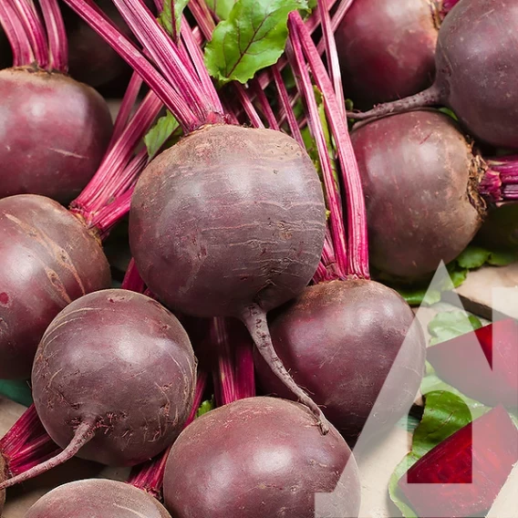 6983258107_buryak-detrojt-10.webp Буряк Детройт, 10 г. (Власне фасування з оригінального упакування), (GSN-Semences). - Зображення 1